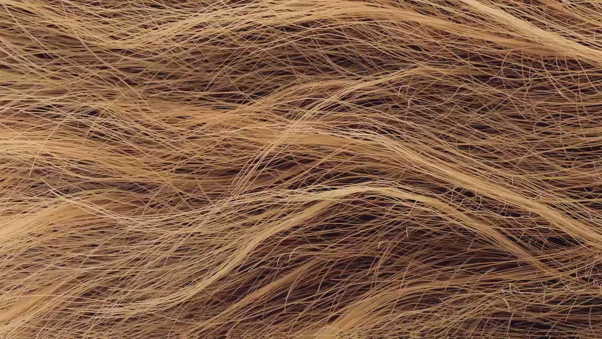 Pantene Molecular Bond Repair